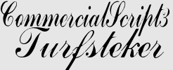 CommercialScript3
